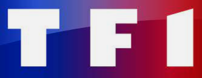 20h de TF1 Affaire Françoise Nyssen, intervention de Maître INGELAERE