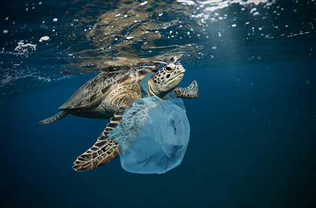 Pollution des océeans