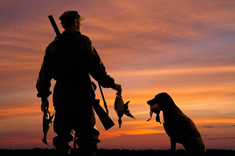 Droit de la chasse