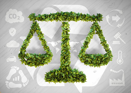Code de l'environnement