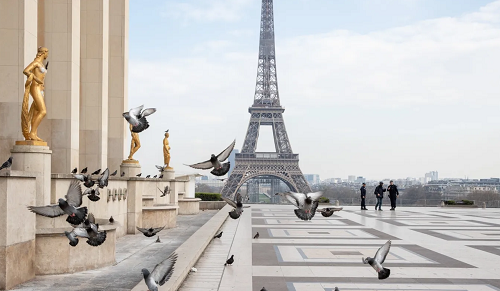 Ingelaere Avocats à Paris